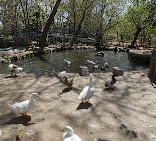 Bei den Düden Wasserfällen