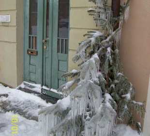 Alte Tür mit Weihnachtsbaum