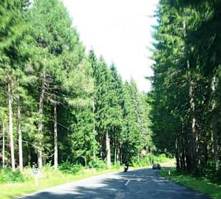 Fast am Ziel Abfahrt Plöcken