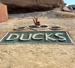 Tauchbasis Ducks Diving Superior