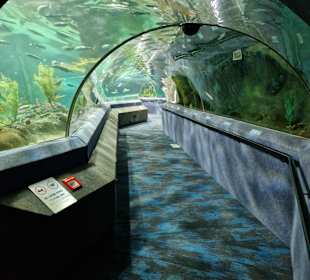 Großer Tank am Ende