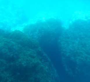 Unterwasserwelt vor Mahon