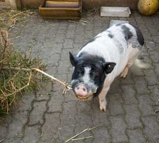 Thüringer Zoopark Erfurt 
