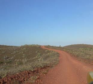 Isla de Coche 