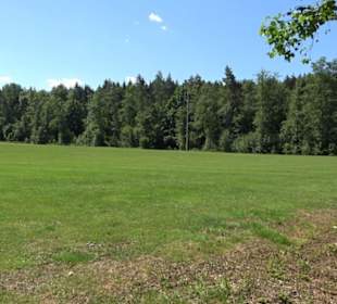 Sportplatz Bisingen