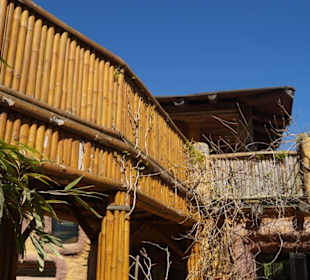 Zoo Arche Noah Grömitz