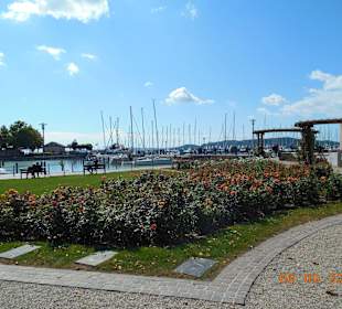Hafen