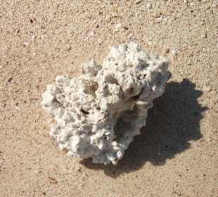 Ausflug Inselträume