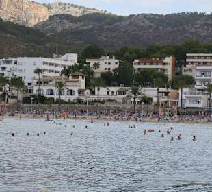 Bucht von Paguera im August