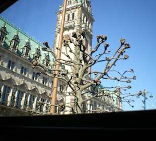 Rathaus Hamburg