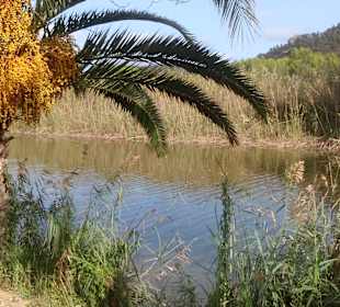 Stadtrundgang Canyamel