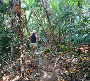 Khao Sok Nationalpark