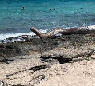 Golden Beach/ Chrissi