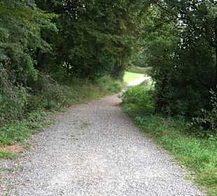 Altwege Rundwanderung Bebenhausen