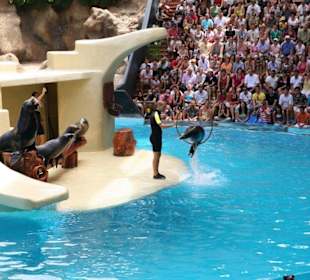 Ausflug nach Loro Parque