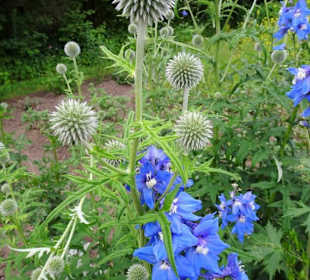 Impressionen aus dem Garten des Bauernmuseums