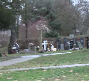 Friedhof Mittelstadt