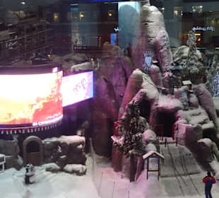 Stadtrundfahrt Dubai