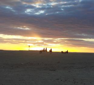 Douz Kamelstation und Sonnenuntergang