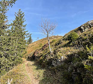 Rundwanderung Belchensteig