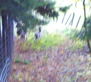 Schöne Wanderwege und gut beschildert