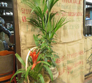 Hala Targowa Wrocław