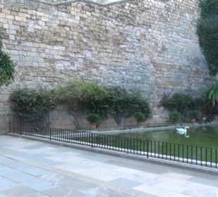 Privathafen La Almudaina