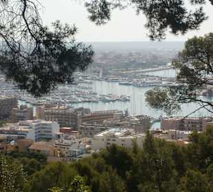 Ausblick auf den Hafen von Palma