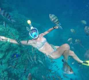 Private Schnorcheltour