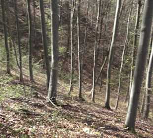 Wanderweg Hochgehkämpft