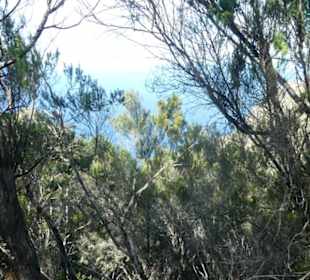Schönes Wandergebiet im Norden Teneriffas