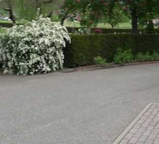 Evangelische Kirche Engeltal Hallwangen