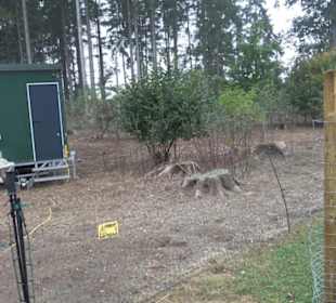 Erlebnisbauernhof und Wildgehege