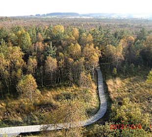 Blick vom Aussichtsturm auf den Weg