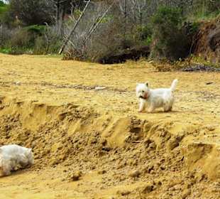 Ende September 2010 Inspirationen