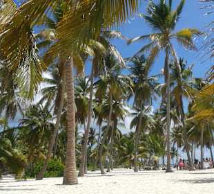 Isla Saona