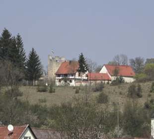 Waldlehrpfad an der Lauter