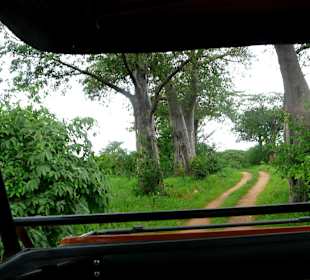 Unterwegs in verschiedenen Landschaften