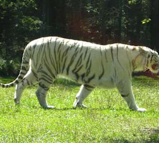 Serengeti Park Hodenhagen