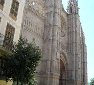 Katedra w Palma de Mallorca
