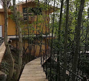 Wellnessbereich Mawell Resort 