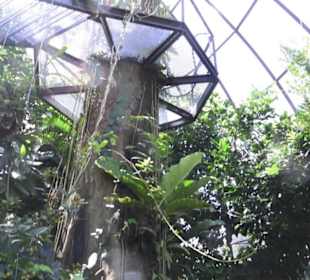 Botanischer Garten der Universität Zürich