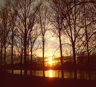 Golden verabschiedet sich die Sonne