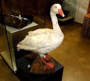 Fabrikation von Schreibfedern