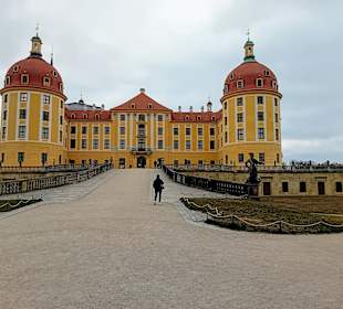 Die ganze Schönheit