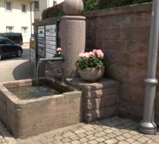 Stadtbrunnen Bad Peterstal