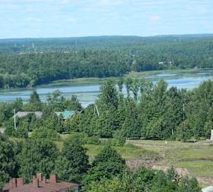 Wyborg