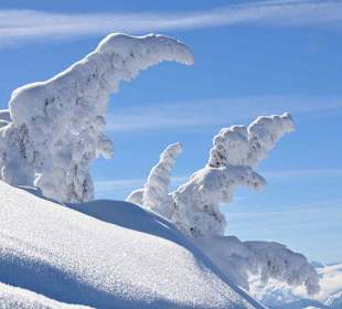 Wintertraum in Gerlos 