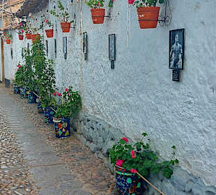 San Blas-The Artists District