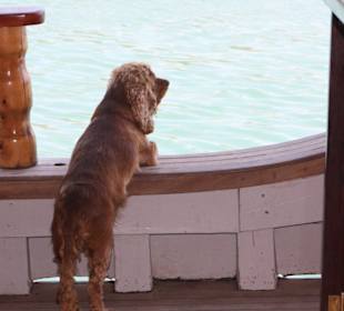 Maskotchen Baba Boot